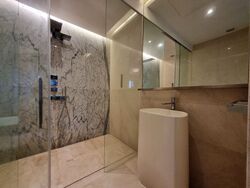 The Scotts Tower (D9), Condominium #423493081